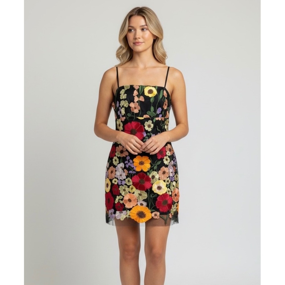 NEW Cider Floral Embroidered Mesh Mini Dress XL Black Multi Square Neck Romantic